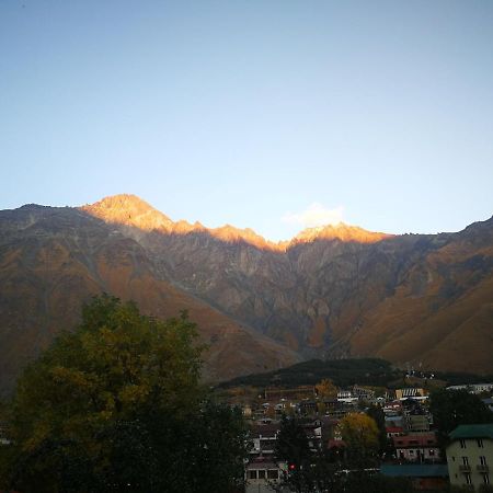 Гостевой дом Суя Казбеги Экстерьер фото