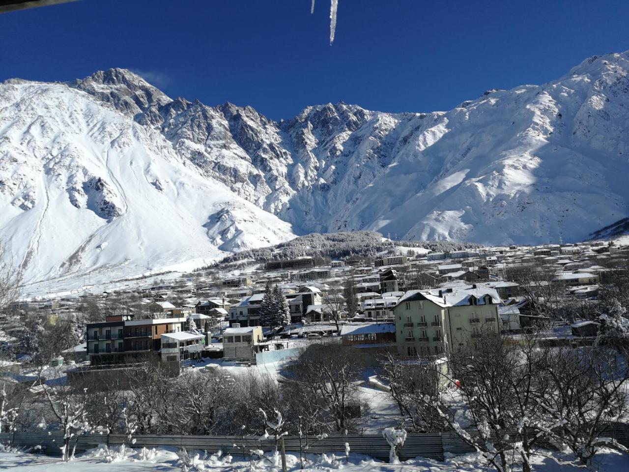Гостевой дом Суя Казбеги Экстерьер фото